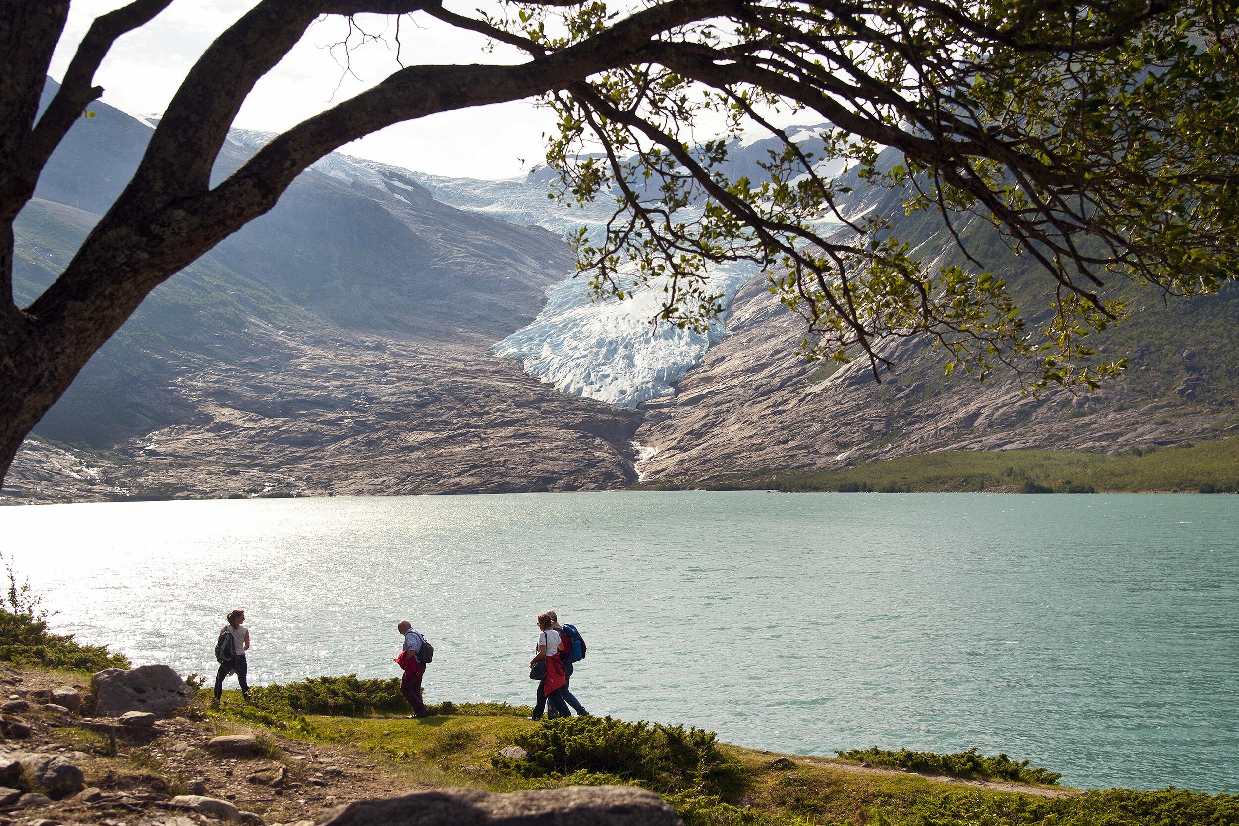 Meløy